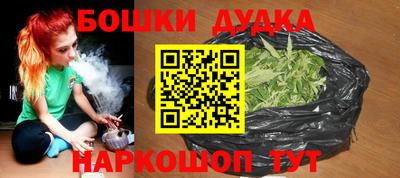 PSILOCYBIN Гатчина