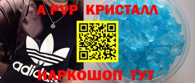 PSILOCYBIN Гатчина