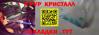 PSILOCYBIN Гатчина