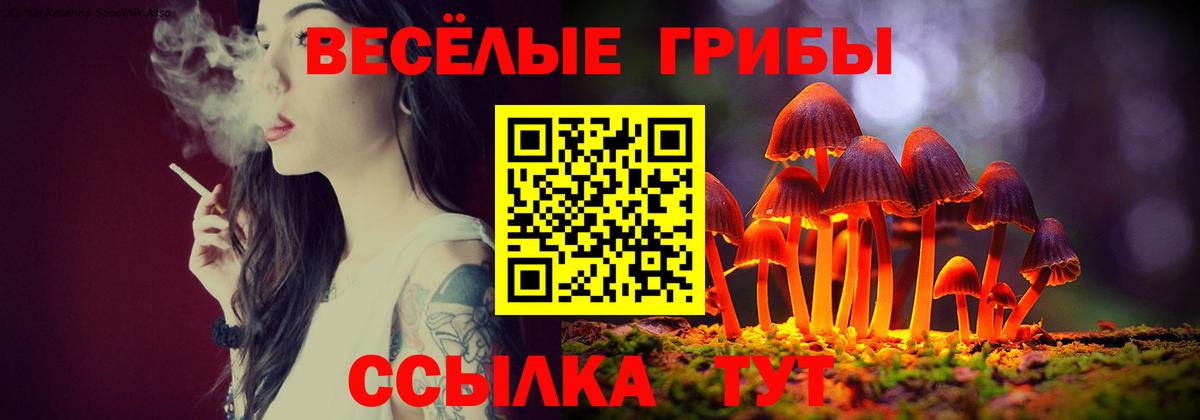 Галлюциногенные грибы мухоморы Ногинск