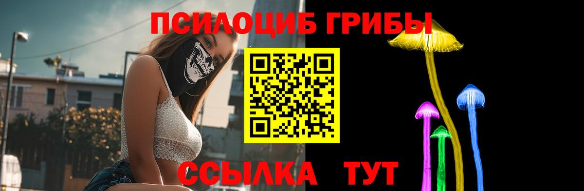 Ногинск  Псилоцибиновые грибы мухоморы  Вход с VPN 